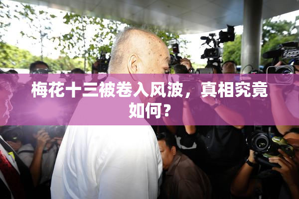 梅花十三被卷入风波，真相究竟如何？