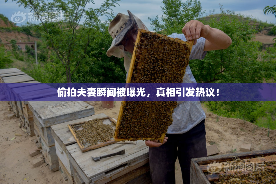 偷拍夫妻瞬间被曝光，真相引发热议！