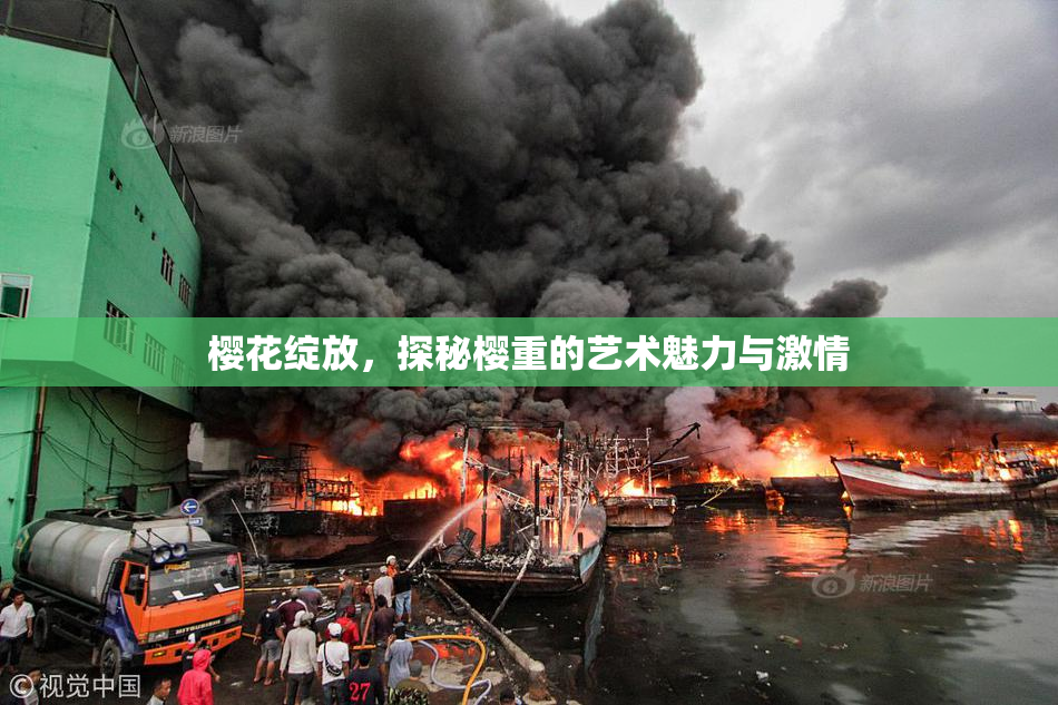 樱花绽放，探秘樱重的艺术魅力与激情