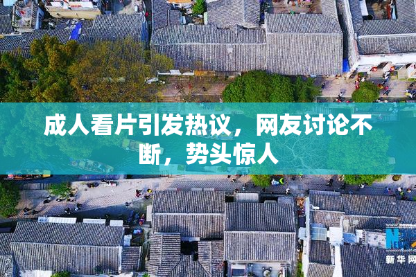 成人看片引发热议，网友讨论不断，势头惊人