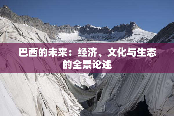 巴西的未来：经济、文化与生态的全景论述