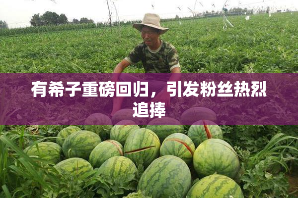 有希子重磅回归，引发粉丝热烈追捧
