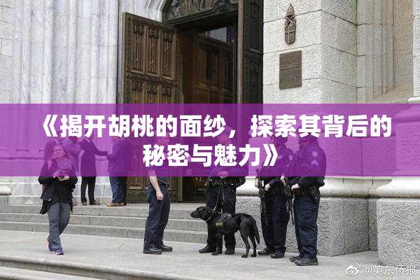 《揭开胡桃的面纱，探索其背后的秘密与魅力》
