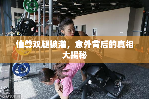 仙尊双腿被灌，意外背后的真相大揭秘