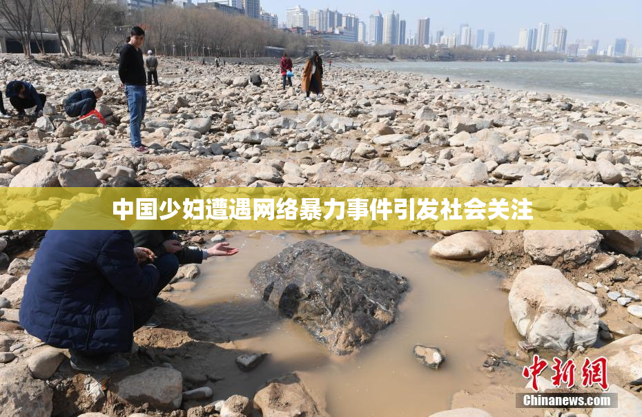 中国少妇遭遇网络暴力事件引发社会关注