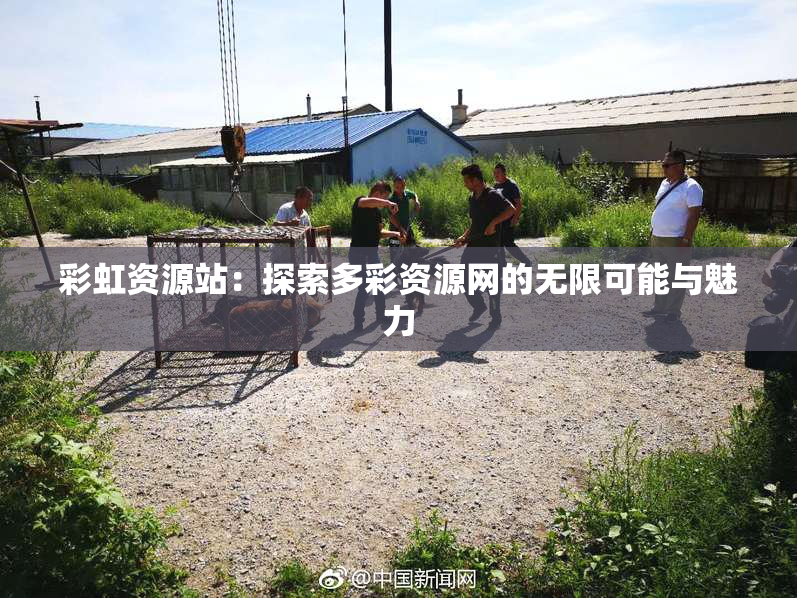 彩虹资源站：探索多彩资源网的无限可能与魅力
