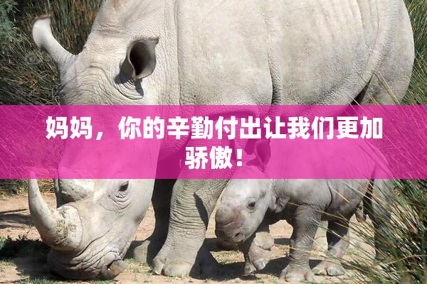 妈妈，你的辛勤付出让我们更加骄傲！