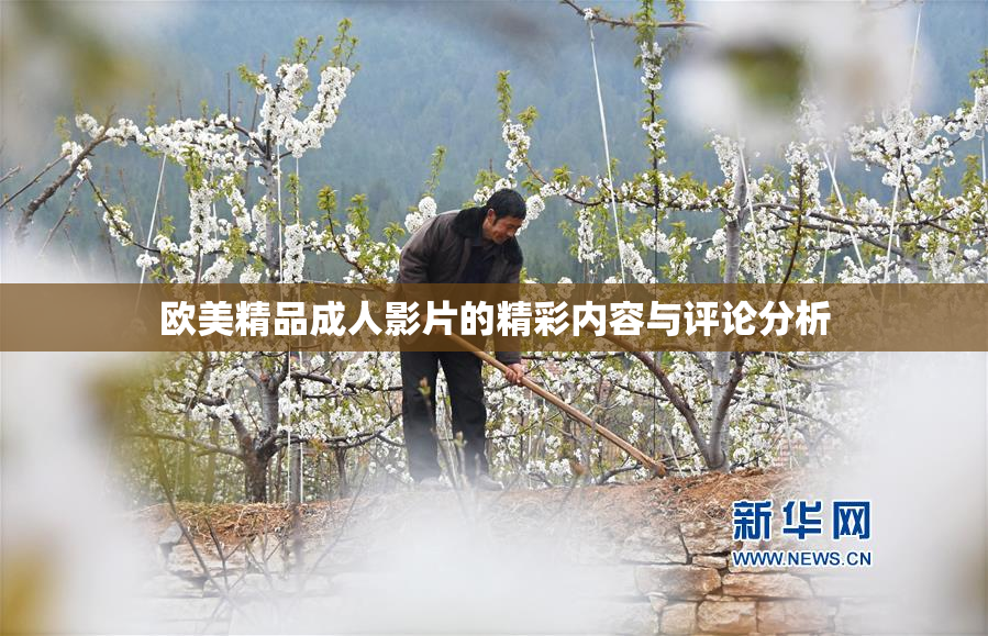 欧美精品成人影片的精彩内容与评论分析