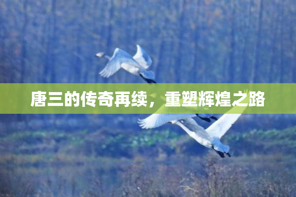 唐三的传奇再续，重塑辉煌之路