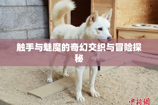 触手与魅魔的奇幻交织与冒险探秘