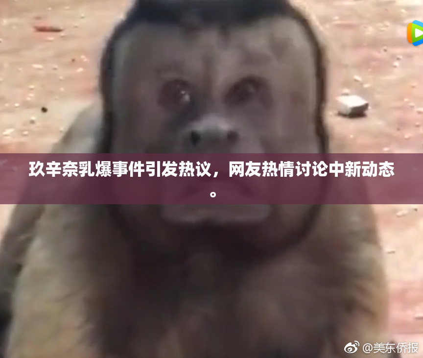 玖辛奈乳爆事件引发热议，网友热情讨论中新动态。