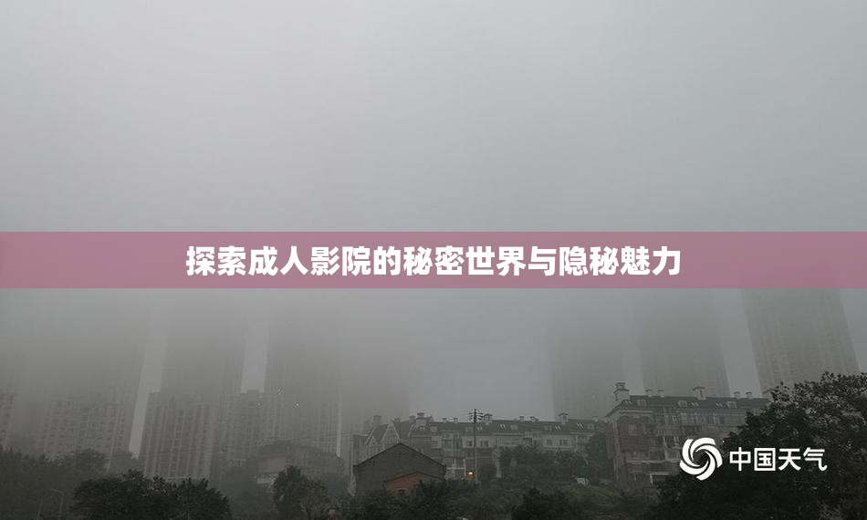 探索成人影院的秘密世界与隐秘魅力