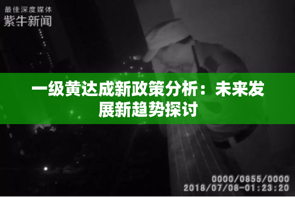 一级黄达成新政策分析：未来发展新趋势探讨