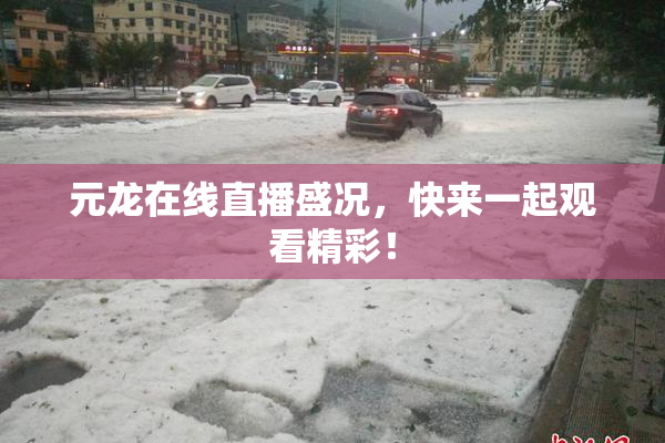元龙在线直播盛况，快来一起观看精彩！