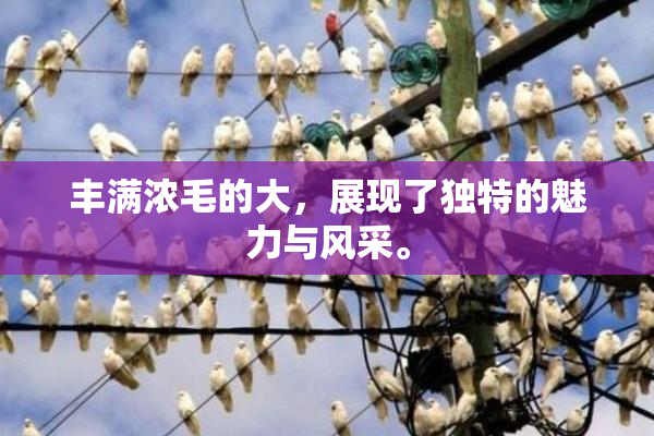 丰满浓毛的大，展现了独特的魅力与风采。