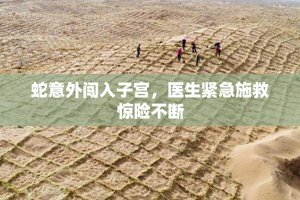 蛇意外闯入子宫，医生紧急施救惊险不断