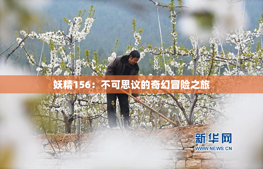 妖精156：不可思议的奇幻冒险之旅