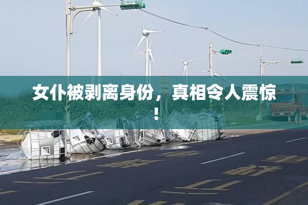 女仆被剥离身份，真相令人震惊！