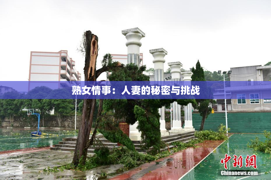 熟女情事：人妻的秘密与挑战
