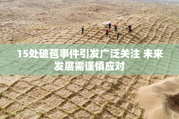 15处破苞事件引发广泛关注 未来发展需谨慎应对