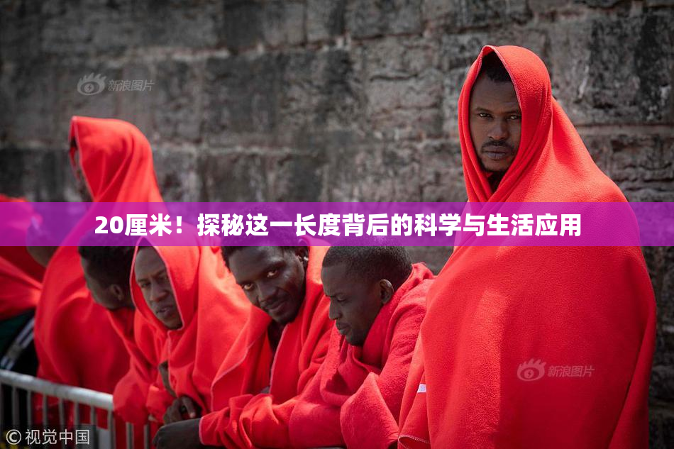 20厘米！探秘这一长度背后的科学与生活应用