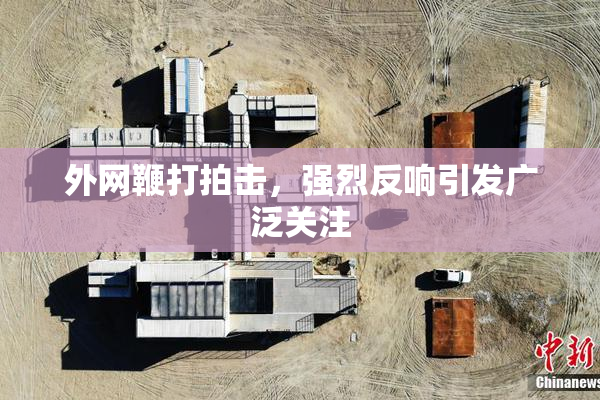 外网鞭打拍击，强烈反响引发广泛关注