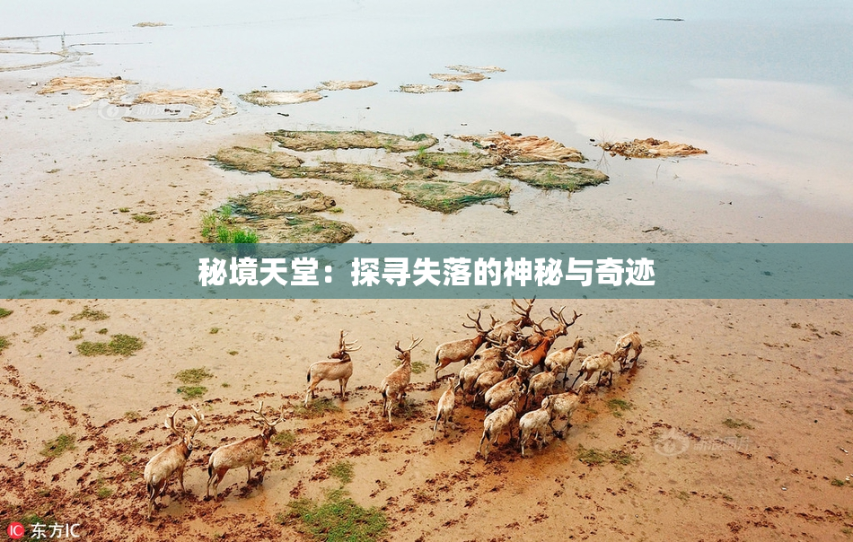 秘境天堂：探寻失落的神秘与奇迹
