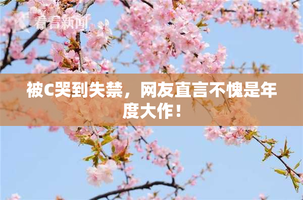 被C哭到失禁，网友直言不愧是年度大作！
