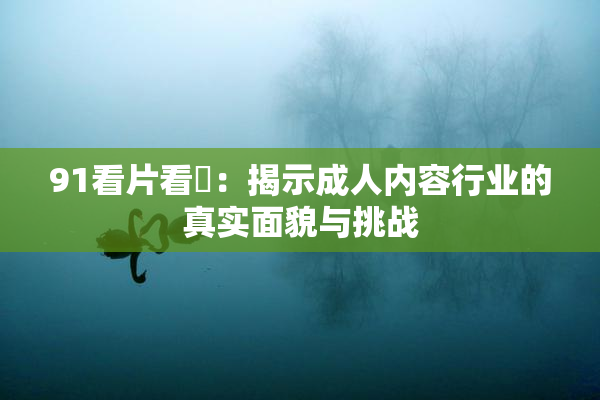 91看片看婬：揭示成人内容行业的真实面貌与挑战