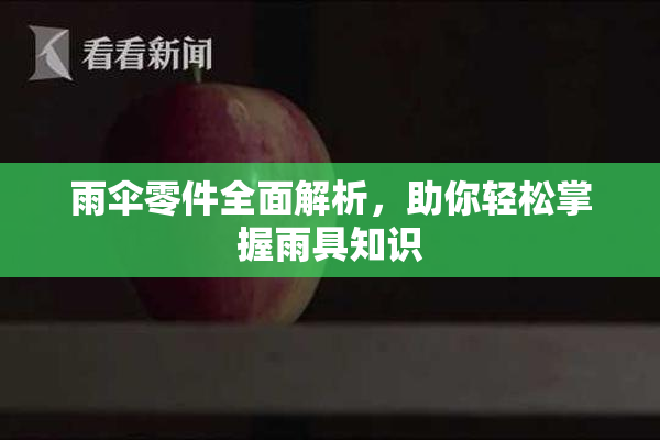 雨伞零件全面解析，助你轻松掌握雨具知识