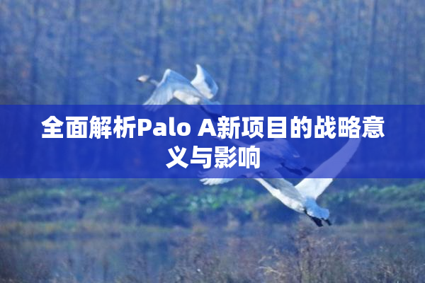 全面解析Palo A新项目的战略意义与影响