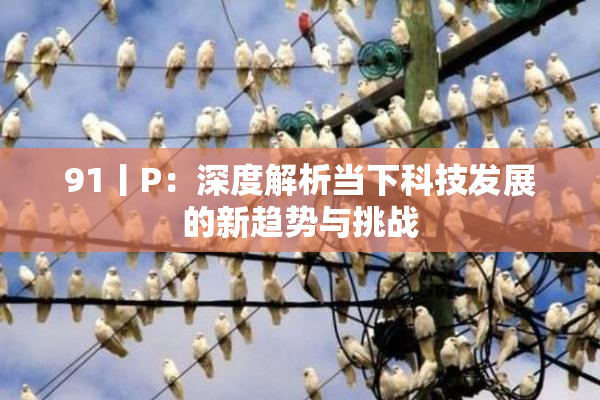 91丨P：深度解析当下科技发展的新趋势与挑战