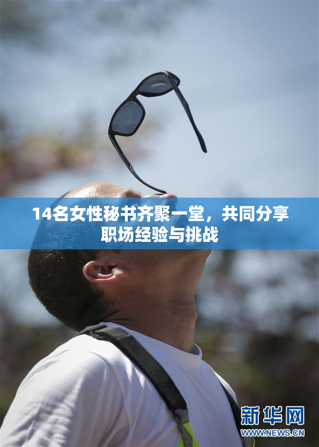 14名女性秘书齐聚一堂，共同分享职场经验与挑战