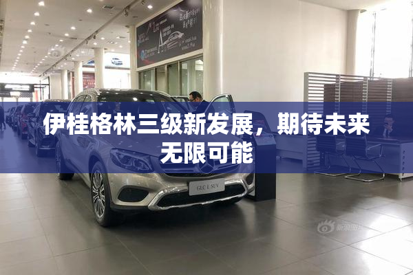 伊桂格林三级新发展，期待未来无限可能