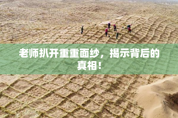 老师扒开重重面纱，揭示背后的真相！