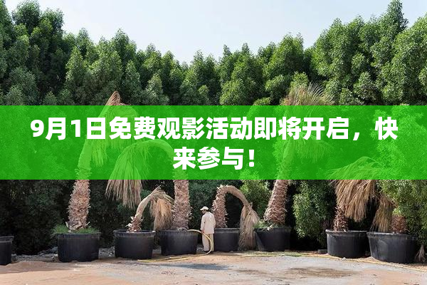 9月1日免费观影活动即将开启，快来参与！