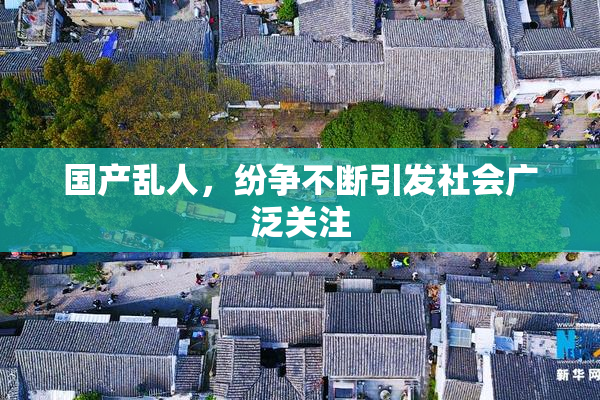 国产乱人，纷争不断引发社会广泛关注
