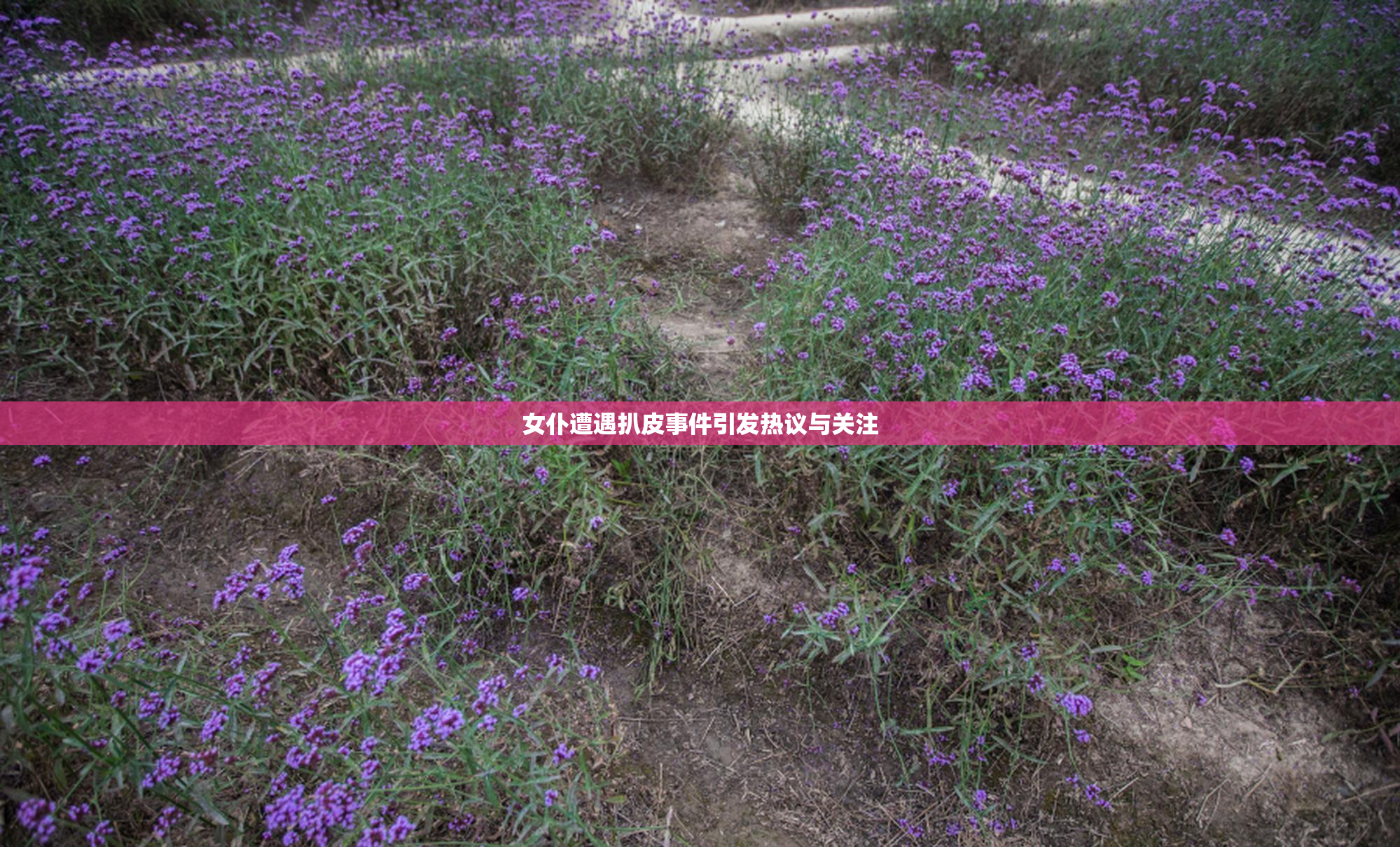 女仆遭遇扒皮事件引发热议与关注