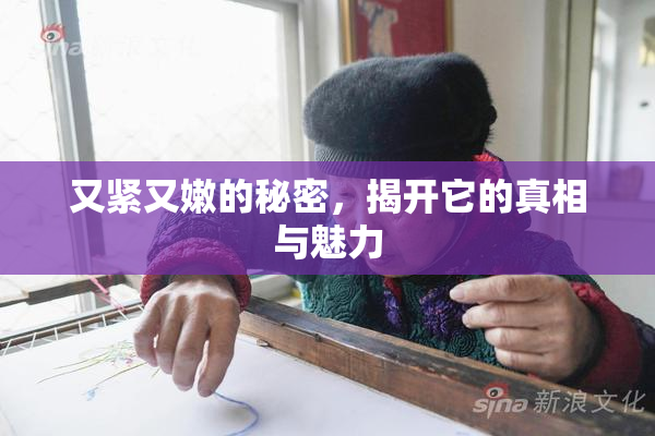 又紧又嫩的秘密，揭开它的真相与魅力
