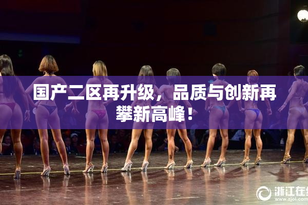 国产二区再升级，品质与创新再攀新高峰！