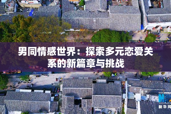 男同情感世界：探索多元恋爱关系的新篇章与挑战