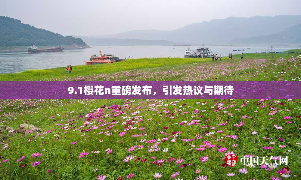 9.1樱花n重磅发布，引发热议与期待