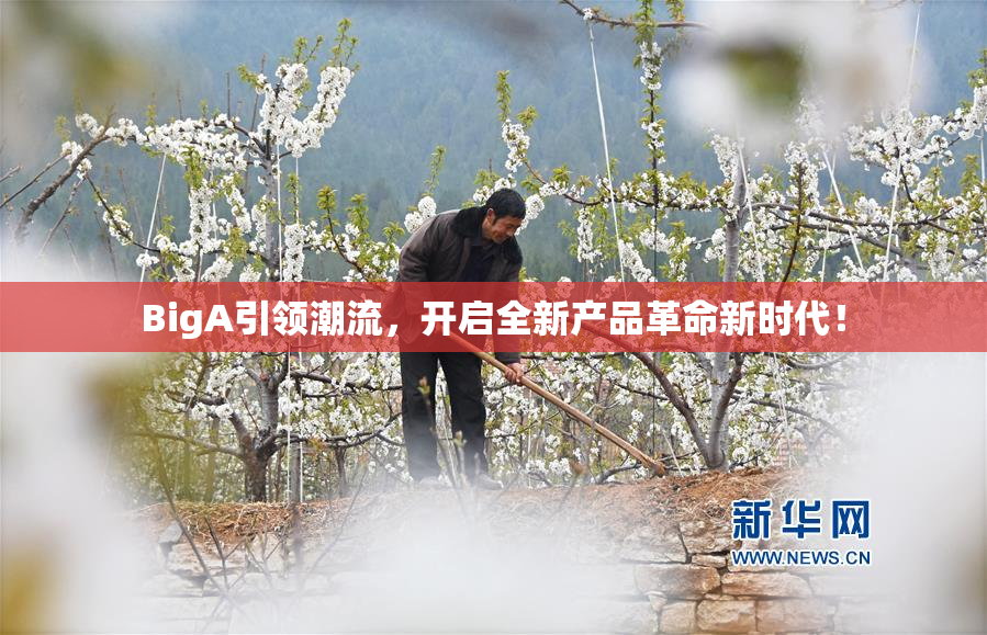 BigA引领潮流，开启全新产品革命新时代！