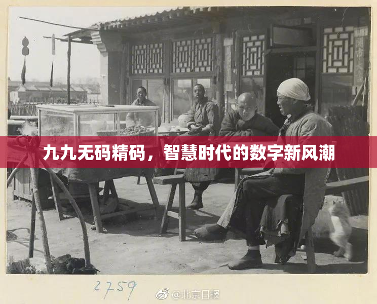 九九无码精码，智慧时代的数字新风潮