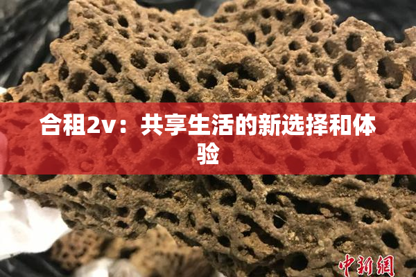 合租2v：共享生活的新选择和体验