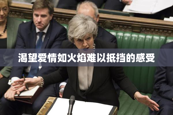 渴望爱情如火焰难以抵挡的感受
