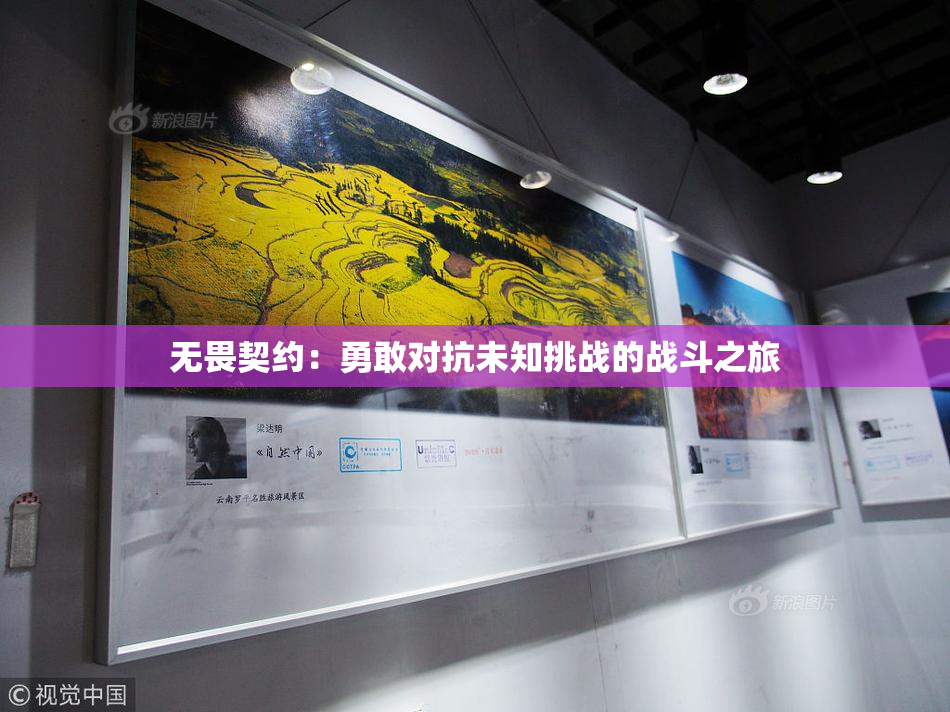 无畏契约：勇敢对抗未知挑战的战斗之旅