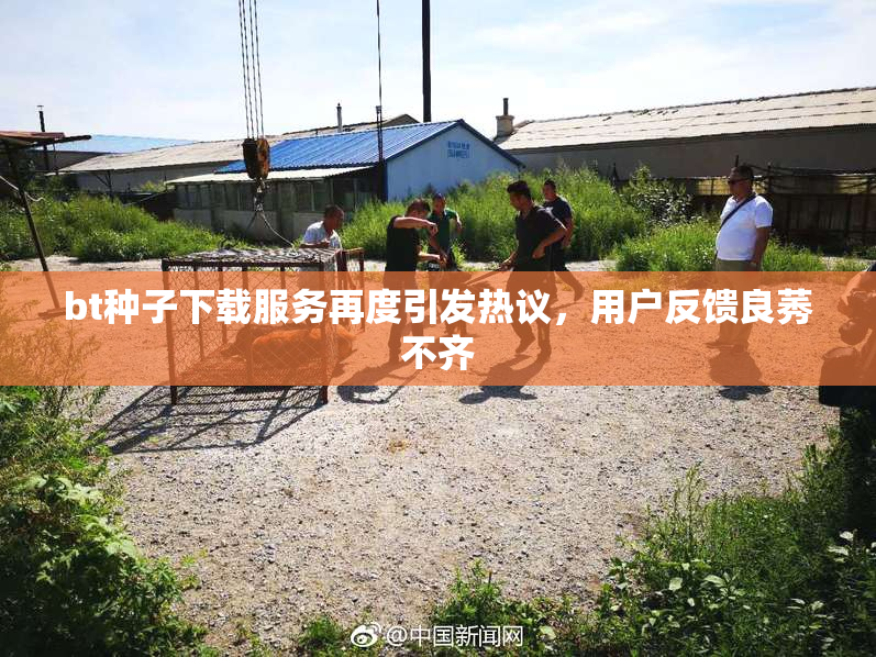bt种子下载服务再度引发热议，用户反馈良莠不齐