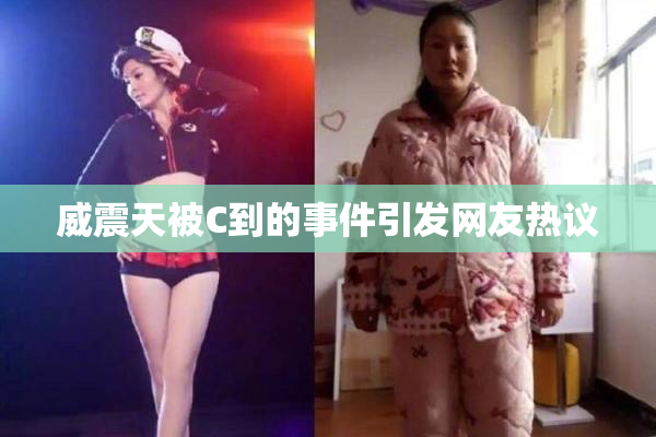 威震天被C到的事件引发网友热议