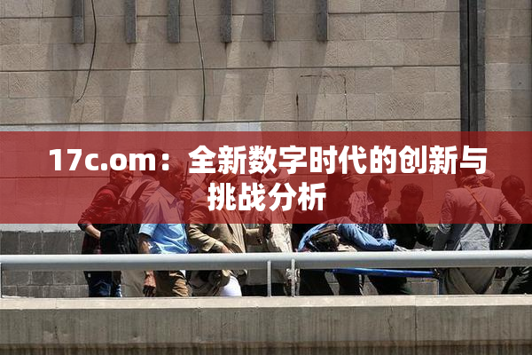 17c.om：全新数字时代的创新与挑战分析